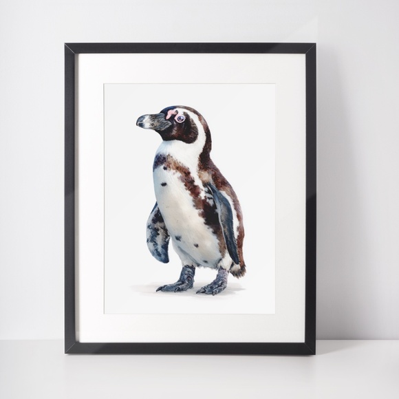 Watercolor African Penguin Portrait Wall Art Print Unframed - Antarctic Charm - Picture 3 of 7